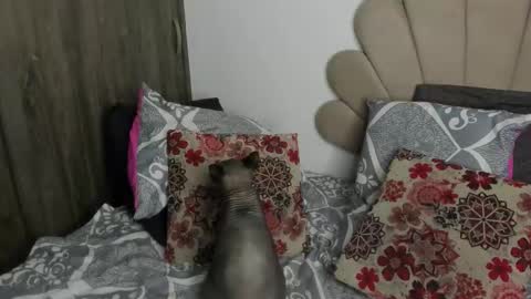 Nei turn green online show from 11/11/25, 01:16