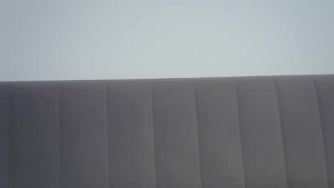 nelly_fortu online show from 02/04/26, 11:38