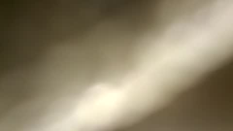 Snapshot of nembo1974 chatting on 07/28/26, 08:12 boo online show from 07/28/26, 08:12