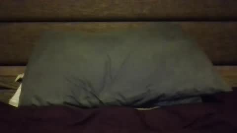 Snapshot of nerfylil2 chatting on 01/08/26, 04:37 Nerfylil online show from 01/08/26, 04:37