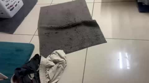 Snapshot of nesquick741960 chatting on 12/22/25, 12:02 nesquick741960 online show from 12/22/25, 12:02