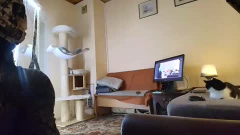 Snapshot of nessieanalemma chatting on 02/24/26, 08:34 nessieanalemma online show from 02/24/26, 08:34