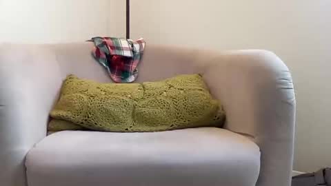 NvrSats911 online show from 12/21/24, 06:34