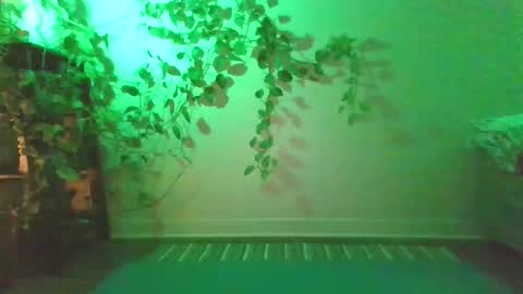 luna online show from 12/27/24, 10:48