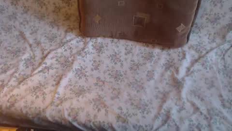 Lilly  online show from 02/10/25, 12:08