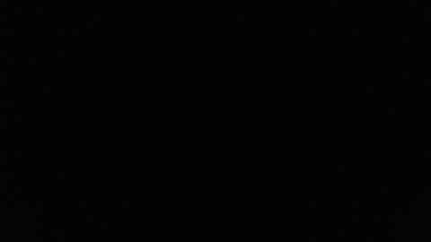 Lilly  online show from 02/23/25, 03:29