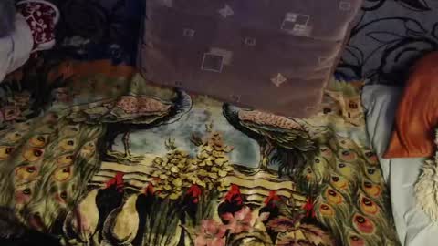 Lilly  online show from 04/22/26, 02:58