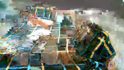 Lucy Pearl online show from 01/07/25, 11:16