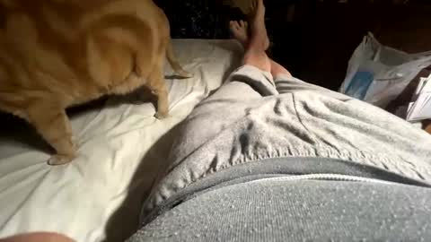 ngianop online show from 04/12/26, 09:25