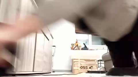 Snapshot of nguyen7788789 chatting on 10/21/25, 04:46 nguyen7788789 online show from 10/21/25, 04:46