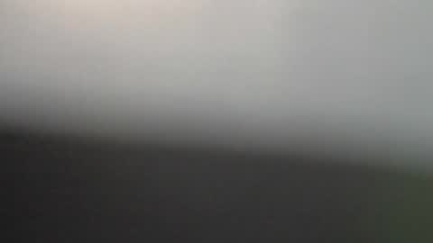 ni983 online show from 02/02/26, 07:56