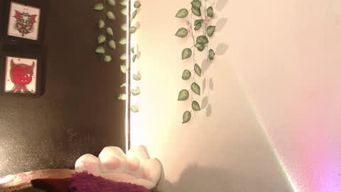  niakat  online show from 01/16/26, 03:10