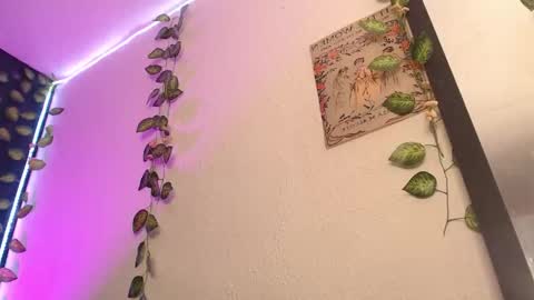  niakat  online show from 03/21/26, 03:22