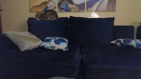 Lilly online show from 02/22/25, 09:48