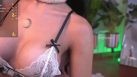 Snapshot of nicdani_1 chatting on 12/26/24, 09:26 Dani 3 online show from 12/26/24, 09:26