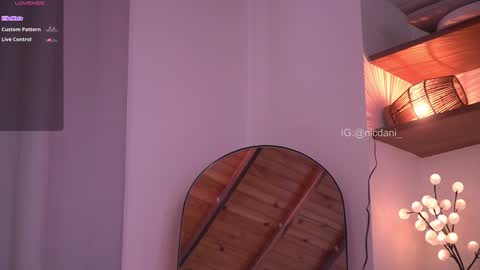 Snapshot of nicdani_1 chatting on 01/11/25, 09:25 Dani 3 online show from 01/11/25, 09:25