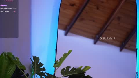 Snapshot of nicdani_1 chatting on 01/18/25, 09:13 Dani 3 online show from 01/18/25, 09:13