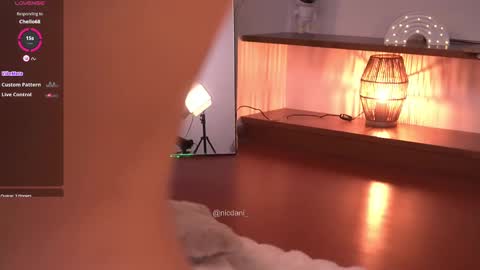 Snapshot of nicdani_1 chatting on 02/24/25, 08:17 Dani 3 online show from 02/24/25, 08:17