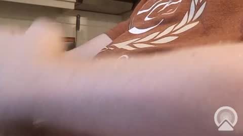 Snapshot of nick_x_b chatting on 12/09/24, 05:19 nick_x_b online show from 12/09/24, 05:19