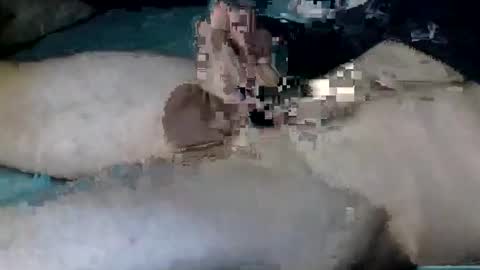 Snapshot of nickanonymous1034 chatting on 10/12/25, 11:20 Nick online show from 10/12/25, 11:20