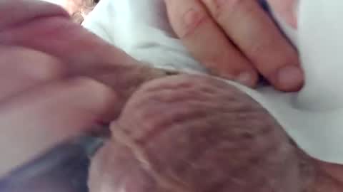 Snapshot of nickthefiddler chatting on 12/24/24, 03:05 TheCock online show from 12/24/24, 03:05