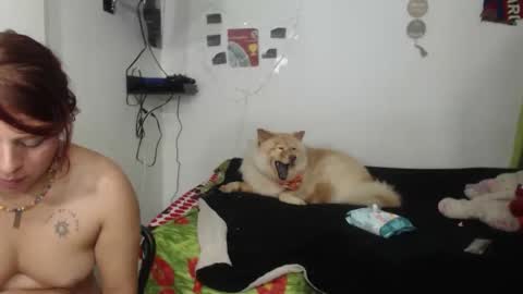 Nickyandcam online show from 04/11/26, 12:48