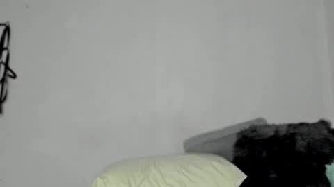 Nico  online show from 12/13/24, 06:21