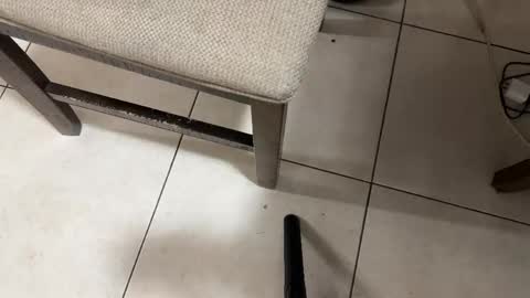 Snapshot of nicocar83pty chatting on 02/28/26, 08:26 Carlos Nico online show from 02/28/26, 08:26