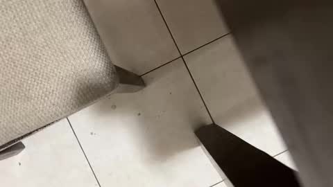 Snapshot of nicocar83pty chatting on 03/02/26, 09:05 Carlos Nico online show from 03/02/26, 09:05