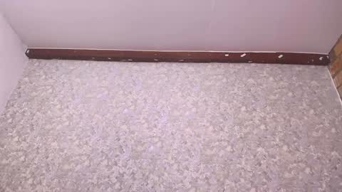 Nicol online show from 12/27/24, 07:14