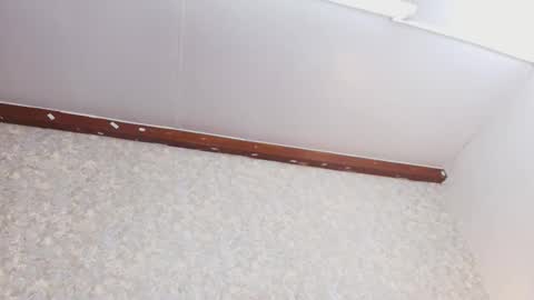 Nicol online show from 10/03/25, 07:44