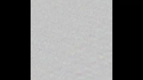 Nicolas Caged online show from 03/30/26, 06:47