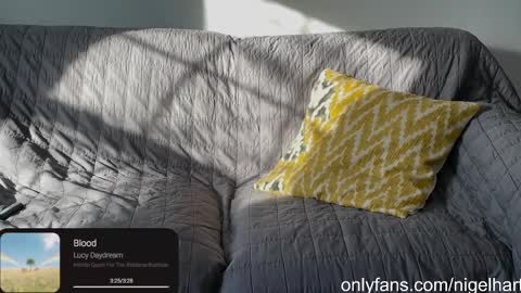 Snapshot of nigelhart chatting on 01/17/25, 03:22 Nigel Hart online show from 01/17/25, 03:22