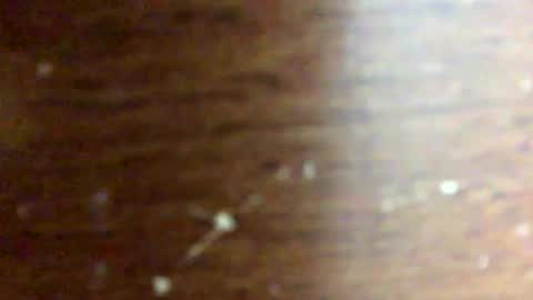 nightmoves1970 online show from 09/25/25, 02:26