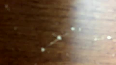 nightmoves1970 online show from 10/14/25, 02:45