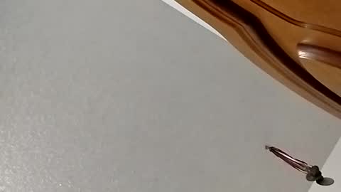 nightnightlol online show from 02/11/25, 03:08