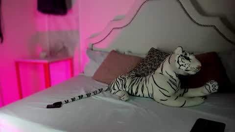 Snapshot of niicole_garnerr chatting on 02/05/26, 03:05 nicole online show from 02/05/26, 03:05