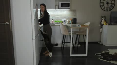 Bella online show from 04/05/26, 10:34