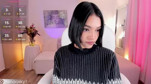 Snapshot of ninaa_sky chatting on 01/22/25, 01:53    online show from 01/22/25, 01:53