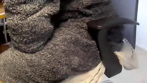 nineinchhard online show from 12/04/24, 09:07