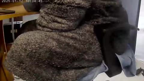 nineinchhard online show from 01/12/25, 10:34