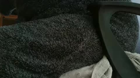 nineinchhard online show from 10/12/25, 11:09