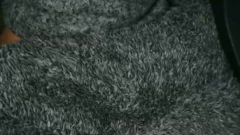 nineinchhard online show from 12/16/25, 09:25