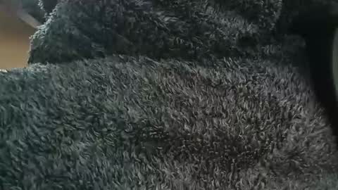 nineinchhard online show from 04/01/26, 10:38