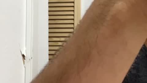 Noah online show from 03/30/26, 06:25