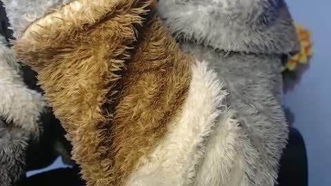 Noah Millers online show from 01/23/25, 07:11