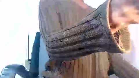 Noah Millers online show from 01/27/25, 10:27