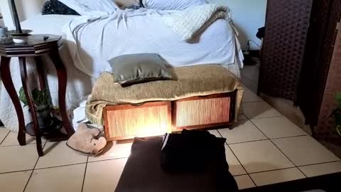 nobudget06 online show from 02/16/25, 04:42