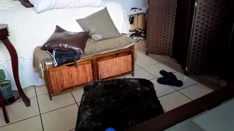 nobudget06 online show from 02/25/25, 11:00