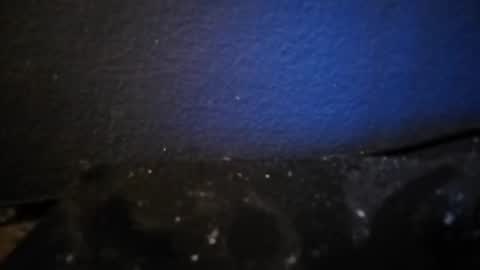 Snapshot of nocycle000 chatting on 09/14/25, 06:51 Nocycle000 online show from 09/14/25, 06:51